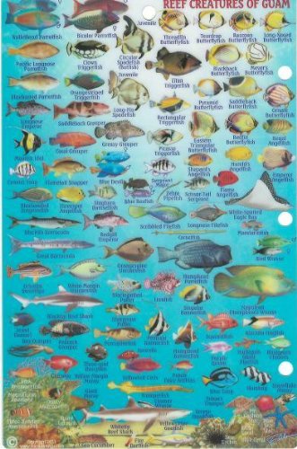 Guam Fish Chart